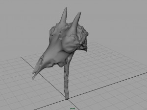 mountain goat skull 3D मॉडल