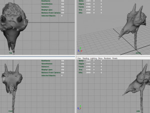 mountain goat skull 3D मॉडल