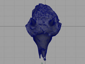 mountain goat skull 3D मॉडल