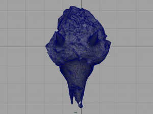 mountain goat skull 3D Model