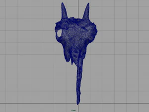 mountain goat skull 3D Model