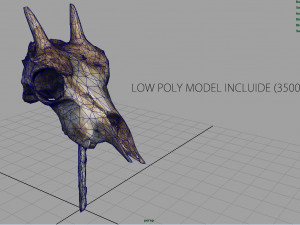 mountain goat skull 3D मॉडल