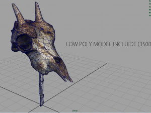 mountain goat skull 3D Model