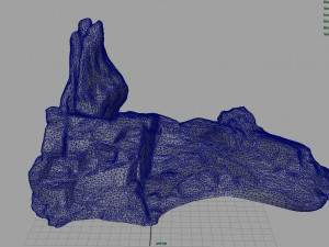 rock 31 3D Model