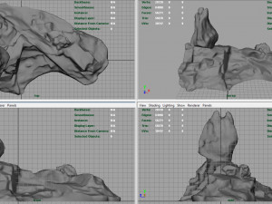 rock 31 3D Model