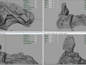 rock 31 3D Model