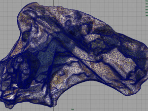 rock 31 3D Model