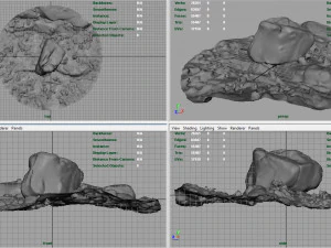 rock 32 3D Model