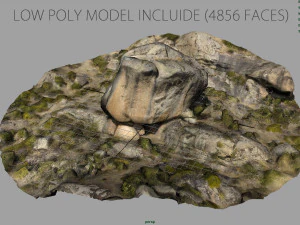 rock 32 3D Model