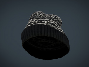 winter hat 3D 모델
