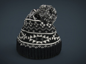 winter hat 3D 모델