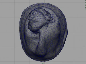 sombrero de invierno Modelo 3D