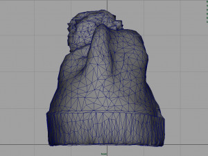 winter hat 3D 모델