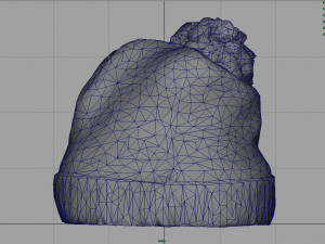 winter hat 3D 모델