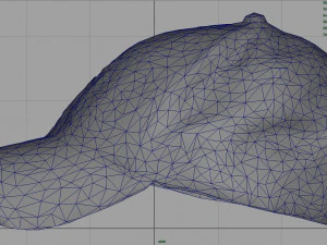 baseball cap 2 3D Model
