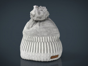 winter hat 2 3D Model