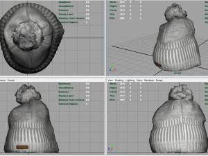 winter hat 2 Modèle 3D