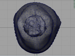 winter hat 2 Modèle 3D