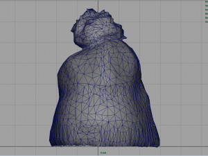 winter hat 2 Modèle 3D