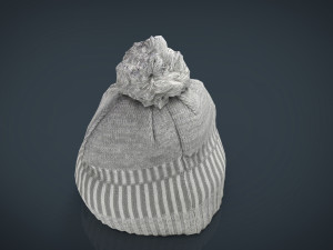 winter hat 2 Modèle 3D