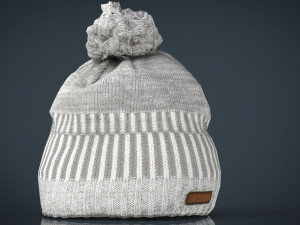winter hat 2 Modèle 3D