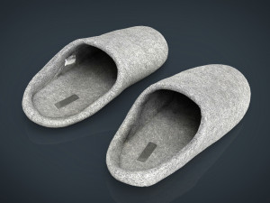 house slippers 3 3D Модель