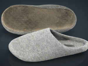 house slippers 3 3D Модель