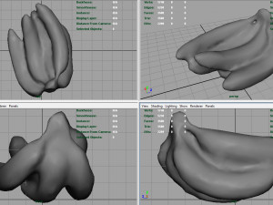 bananas 3D Модель