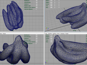 bananas 3D Модель
