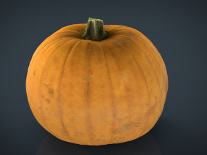 realistic pumpkin Model 3D