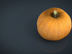 realistic pumpkin Modello 3D