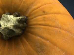 realistic pumpkin Modello 3D