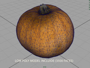 realistic pumpkin Modello 3D
