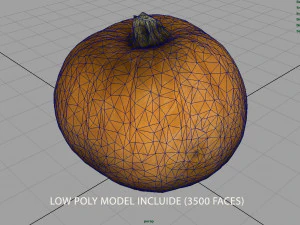 ab&oacute;bora realista Modelo 3D