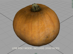 realistic pumpkin Modello 3D
