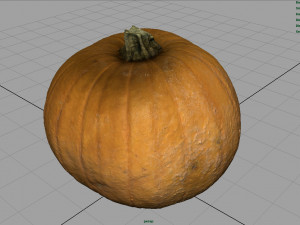 realistic pumpkin Modello 3D