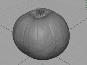 realistic pumpkin Modello 3D