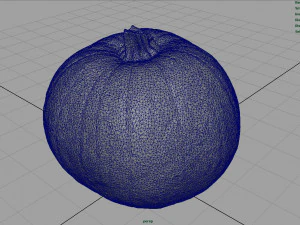 ab&oacute;bora realista Modelo 3D