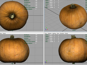 realistic pumpkin Modello 3D