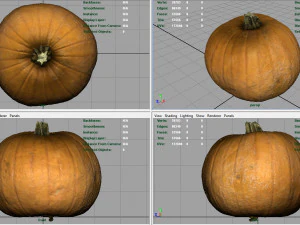 ab&oacute;bora realista Modelo 3D