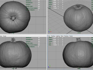 ab&oacute;bora realista Modelo 3D