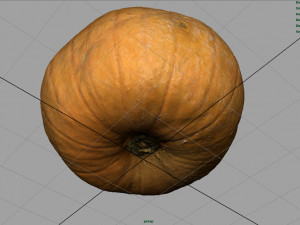 realistic pumpkin Modello 3D