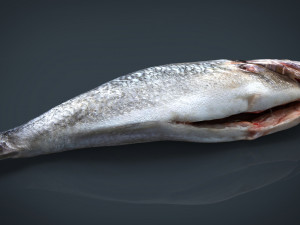 gilt-head bream 3Dモデル