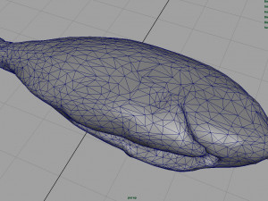 gilt-head bream 3Dモデル