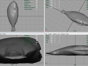gilt-head bream 3Dモデル