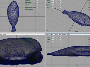 gilt-head bream 3Dモデル