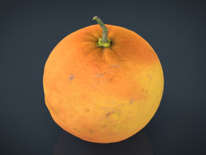 orange Model 3D