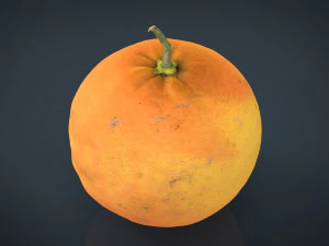 オレンジ 3Dモデル