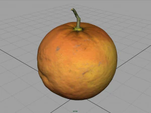 pomarańczowy Model 3D