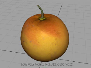 pomarańczowy Model 3D